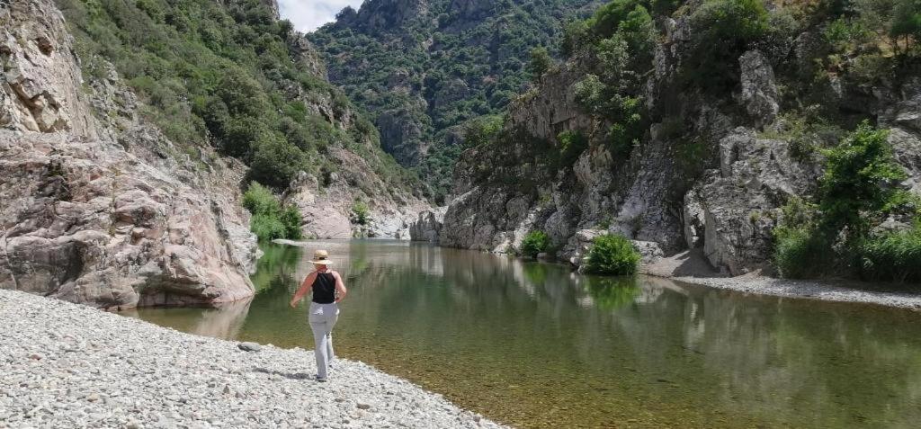 Ferula Romantica Mansarda Tra Fiumi E Montagne Sardegna Seùlo Exterior foto